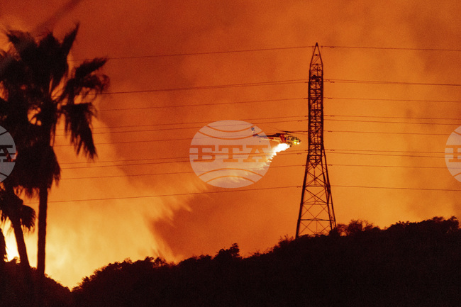 Bulgarian Musician Blagomira Lipari: LA Authorities Doing Great Job in Terms of Organization and Information