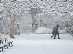 Столица - зимна обстановка - снегопочистване