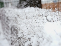 Столица - зимна обстановка - снегопочистване