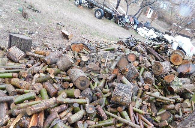 Големи количества незаконно добити дърва са открити при проверки на две места в Монтанско