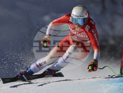Austria Alpine Skiing World Cup