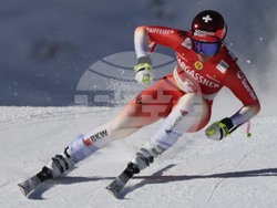 Austria Alpine Skiing World Cup