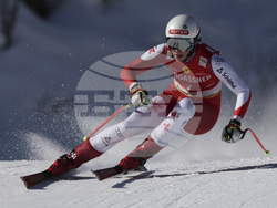 Austria Alpine Skiing World Cup