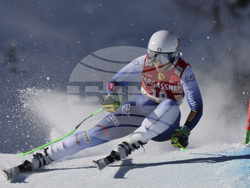 Austria Alpine Skiing World Cup