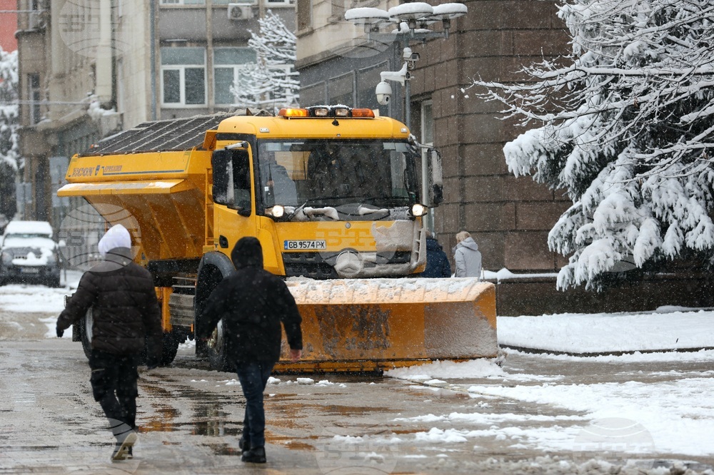 Общо 170 снегорина са чистили улиците в столицата тази нощ