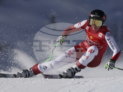 Austria Alpine Skiing World Cup