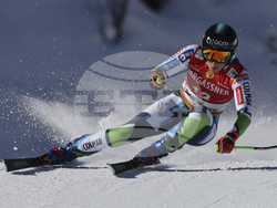 Austria Alpine Skiing World Cup