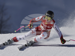Austria Alpine Skiing World Cup