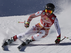 Austria Alpine Skiing World Cup