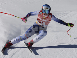Austria Alpine Skiing World Cup