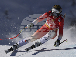 Austria Alpine Skiing World Cup