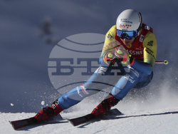 Austria Alpine Skiing World Cup