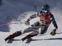 Austria Alpine Skiing World Cup
