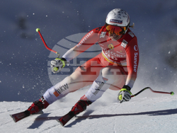 Austria Alpine Skiing World Cup