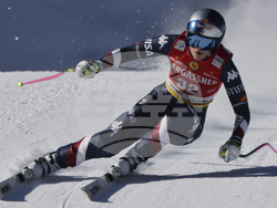 Austria Alpine Skiing World Cup