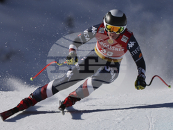 Austria Alpine Skiing World Cup
