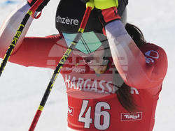 Austria Alpine Skiing World Cup