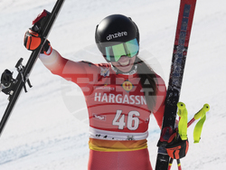 Austria Alpine Skiing World Cup