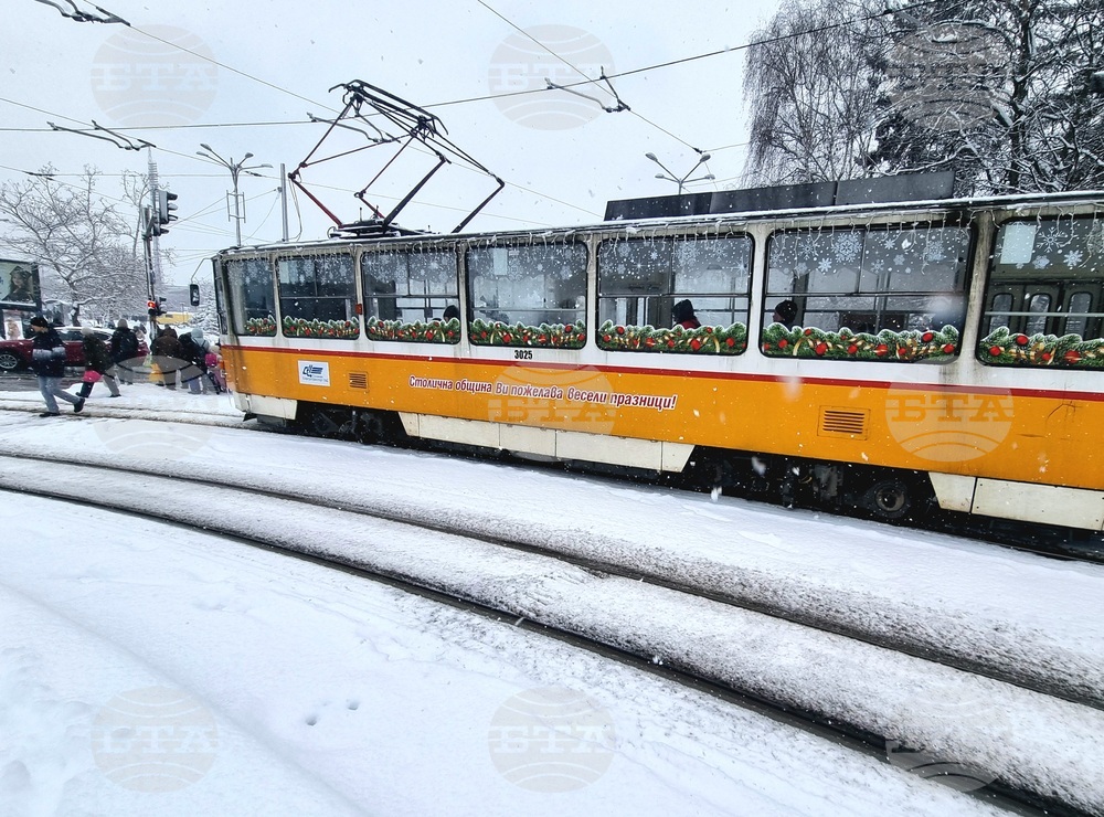 Sofia's Transport Companies End 2024 with BGN 22.7 Mln in Profits