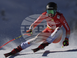 Austria Alpine Skiing World Cup