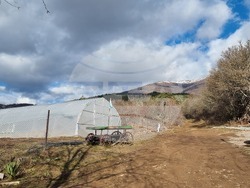 Село Зелениград - Екатерина Николова - зеленчукова ферма