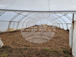 Село Зелениград - Екатерина Николова - зеленчукова ферма