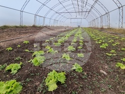 Село Зелениград - Екатерина Николова - зеленчукова ферма