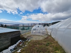 Село Зелениград - Екатерина Николова - зеленчукова ферма