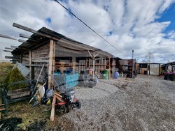 Село Зелениград - Екатерина Николова - зеленчукова ферма