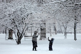 Столица - зима - забавление