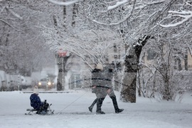 Столица - зима - забавление