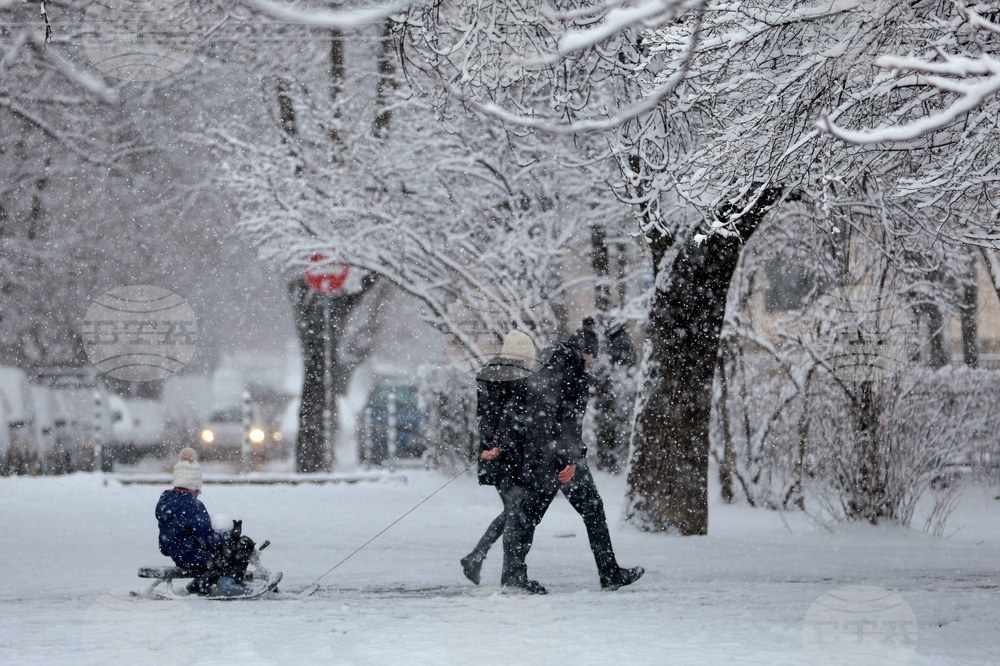 Столица - зима - забавление