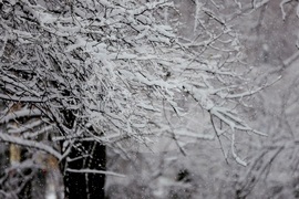 Столица - зима - забавление