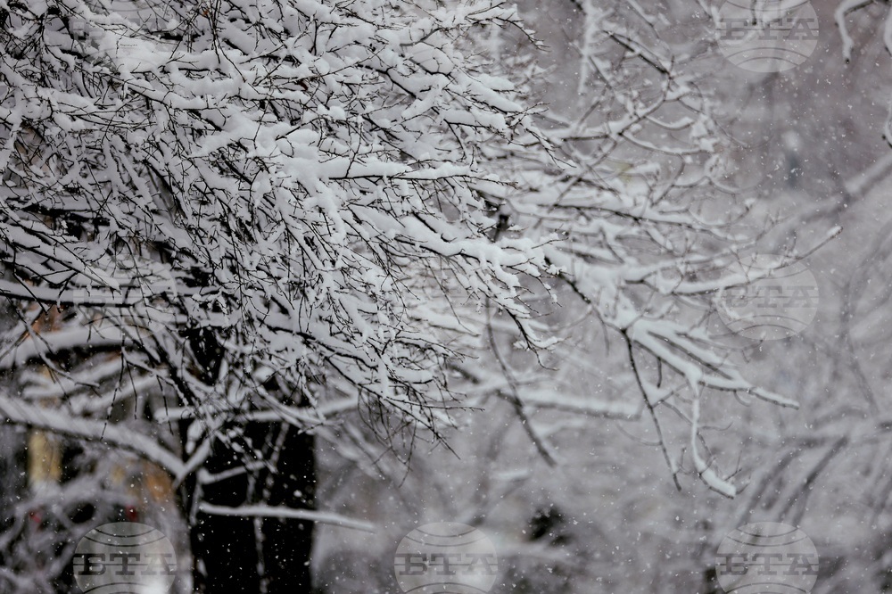 Столица - зима - забавление