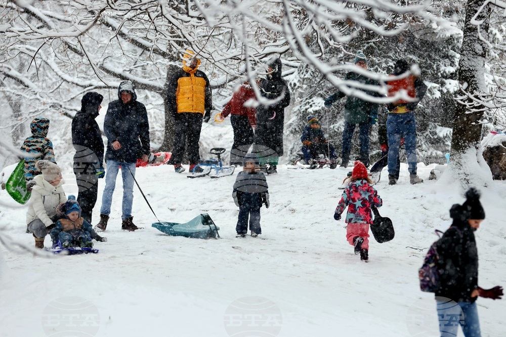 Столица - зима - забавление