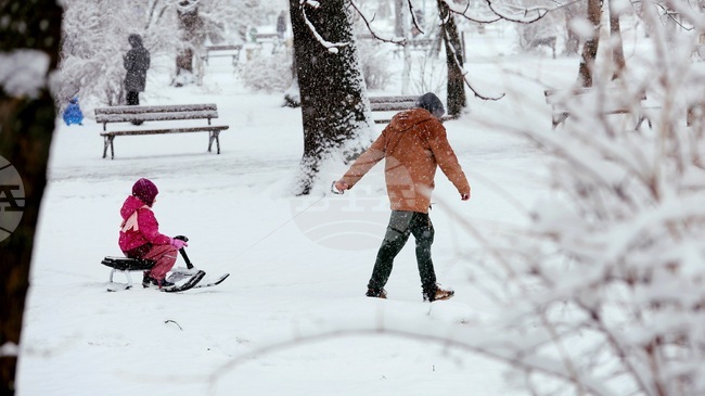 Yellow Code Issued for Low Temperatures and Significant Snowfall across Most of Bulgaria