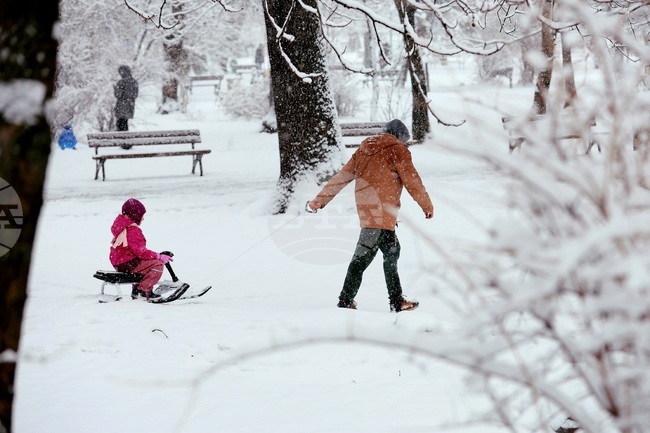 Yellow Code Issued for Low Temperatures and Significant Snowfall across Most of Bulgaria