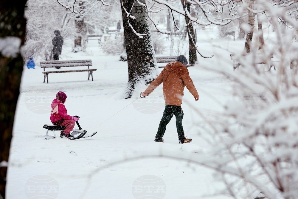 Столица - зима - забавление