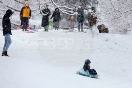 Столица - зима - забавление