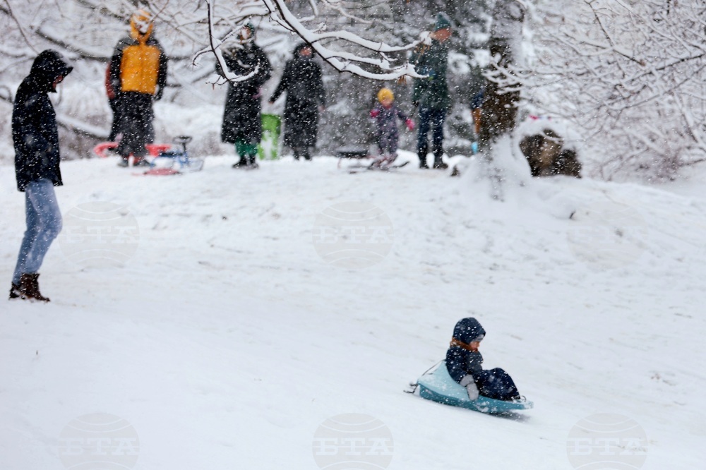 Столица - зима - забавление