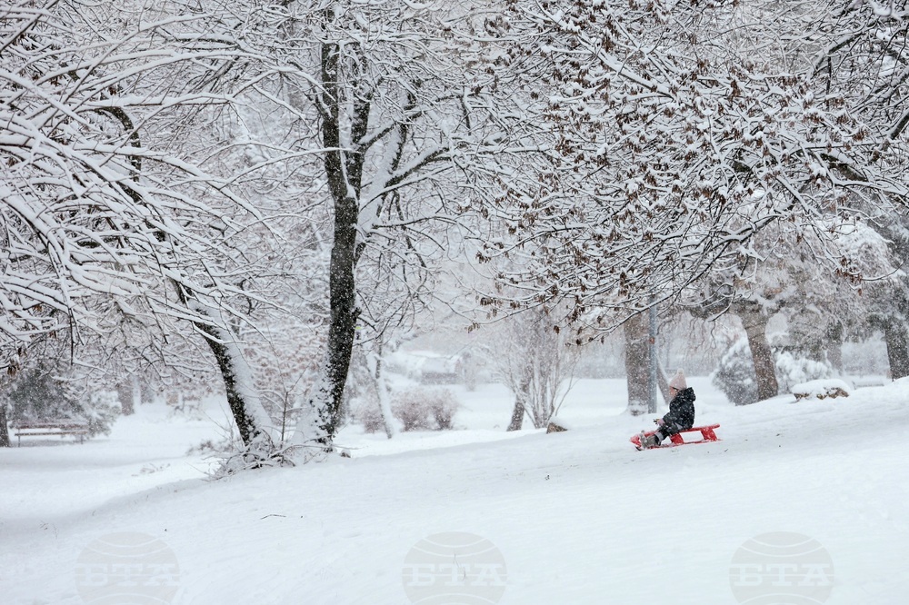 Столица - зима - забавление