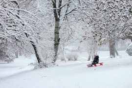 Столица - зима - забавление