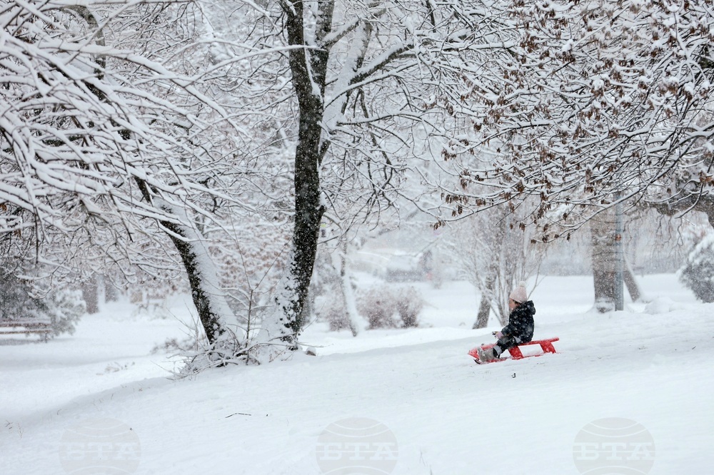 Столица - зима - забавление