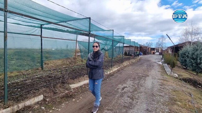 Младо семейство избра живот сред природата на Трънския край пред забързаното ежедневие в големия град