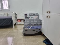 Село Скалица - приют за бездомни