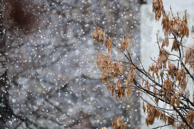 Бургас - снеговалеж