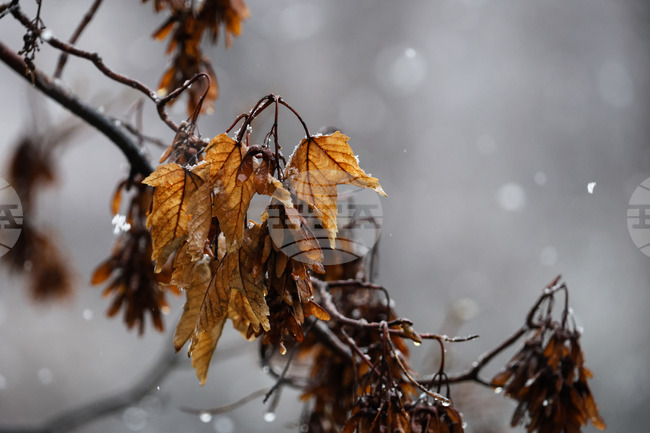 Прогноза за времето