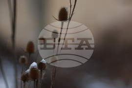 Рибарица - зима