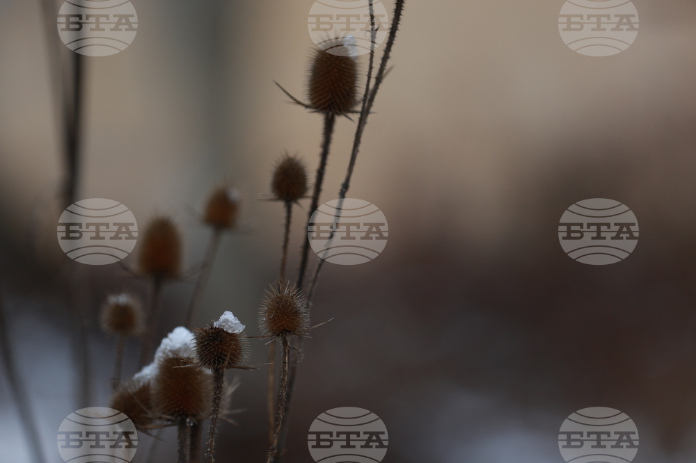 Рибарица - зима