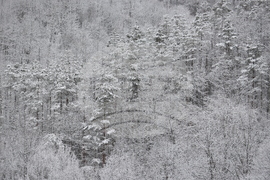 Рибарица - зима